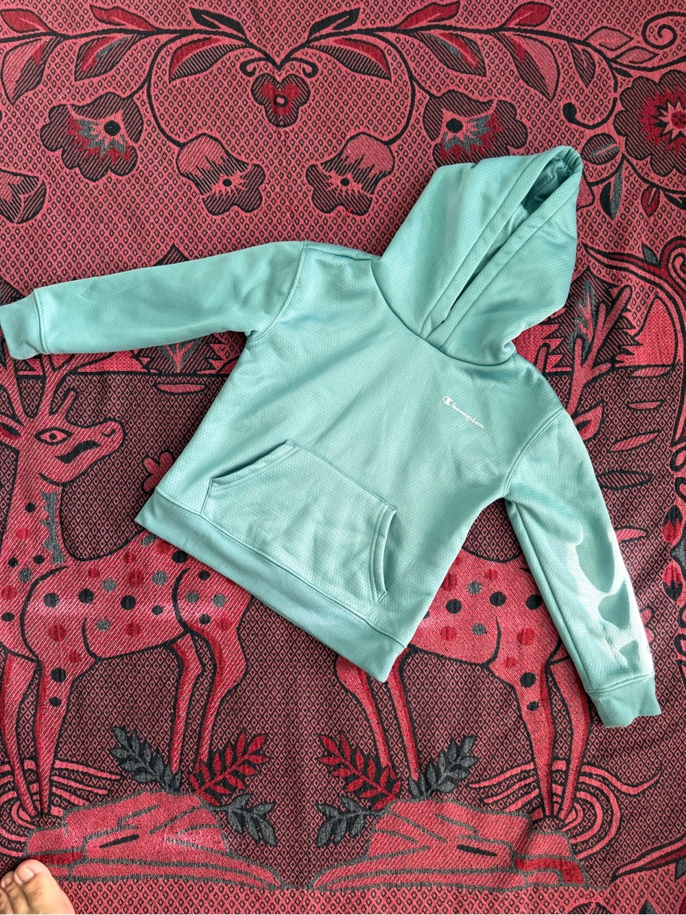 Champion Light Mint Pullover Hoodie